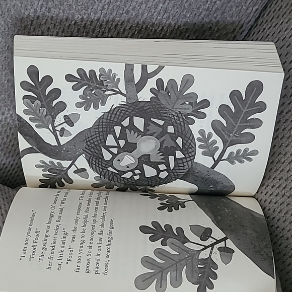 The wild robot book - Picture 5 of 6